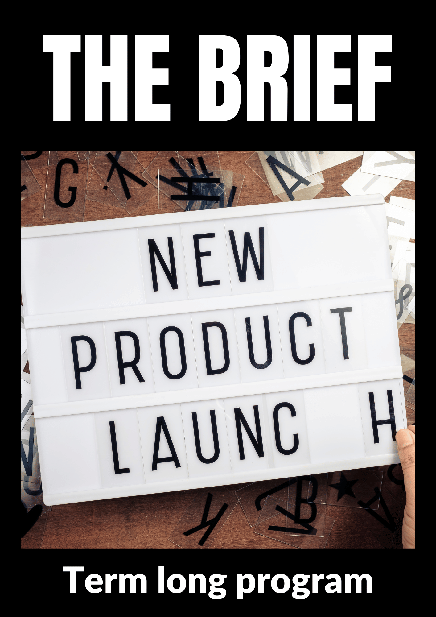 The Brief